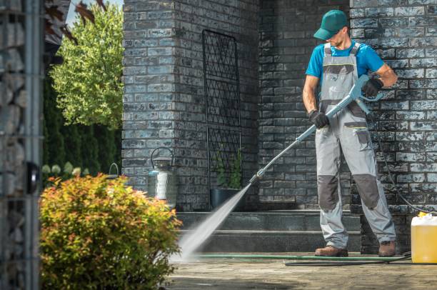 Best Roof Washing  in Poplar Grove, IL